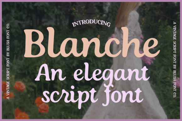 Blanche Script Font: Timeless Elegance for Your Creative Projects